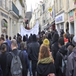 Manifestation en hommage  Rmi Fraisse le 8 novembre 2014 photo n4 