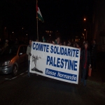 Manifestation de solidarit avec Gaza le 30 dcembre 2008 photo n4 