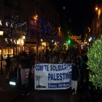 Manifestation de solidarit avec Gaza le 30 dcembre 2008 photo n6 