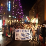 Manifestation de solidarit avec Gaza le 30 dcembre 2008 photo n8 
